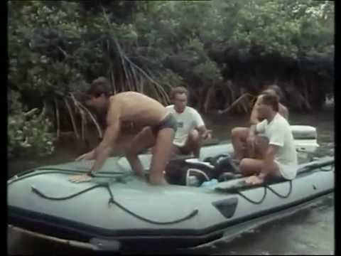 (13) La Collection COUSTEAU - Australie, l'ultime barrière (1988)