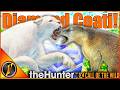 INSANE Multiplayer Hunt In Peru Albino Puma Diamond Coati Call Of The Wild