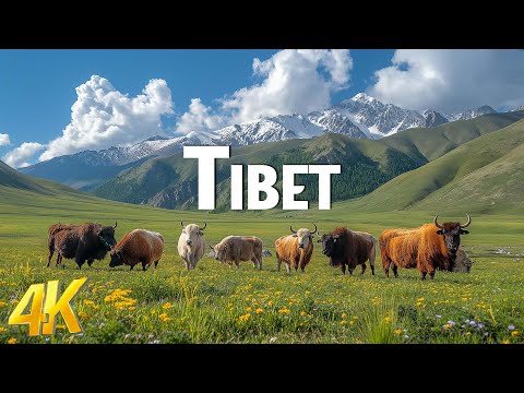 Tibet 4K Cinematic Footage - Drone Nature Film With Epic Cinematic Music