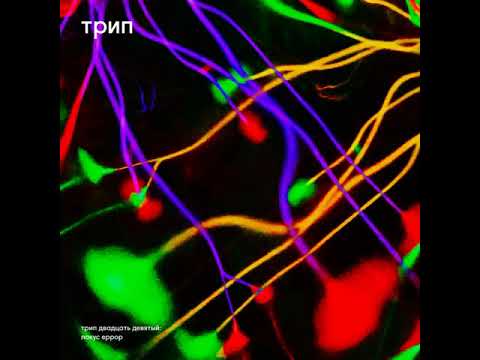 Alan Backdrop - Nizaj [Trip Recordings]