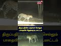 திருப்பதியில் பக்தர்கள் செல்லும் பா�
