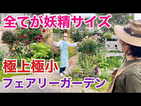 petit-jardin-clos-minimaliste-gazon-galets-fenêtres petit jardin