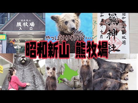 [Hokkaido] ¡Voy a ir a ver los osos que son especialmente populares entre la gente este año! ️Puedes disfrutar de una experiencia de alimentación en la granja de osos en Showa Shinzan 🍎🧸 Una atracción turística popular en el lago Toya 🗻 Hokkaido TOYA-KO