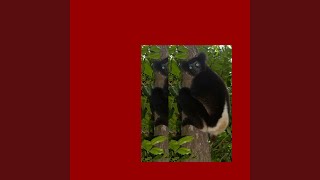 Download lagu Nicotine (feat. Bunii & Kzoba) mp3