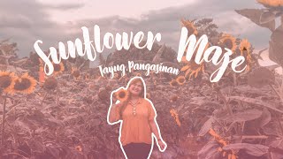preview picture of video 'Travel Vlog # 11 Kahit Umuulan Aura pa din tayo sa Sunflower Maze'