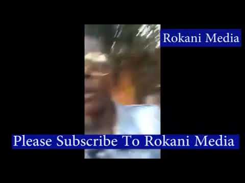 RADIO AND WEASEL & CHAMELEON