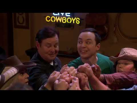 The Big Bang Theory   The Recollection Dissipation S10E20 1080p