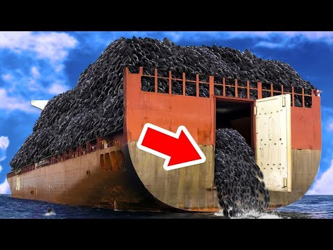 They Dumped 2 Million Tires Into The Ocean  Fifty Years Later You Won’t Believe the Results!