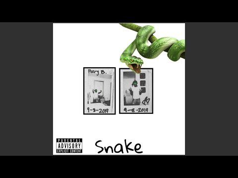 Perry B - Snake (Prod. Andyr)