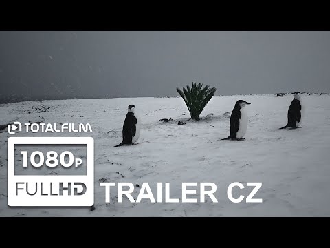 Náhled pro video reference