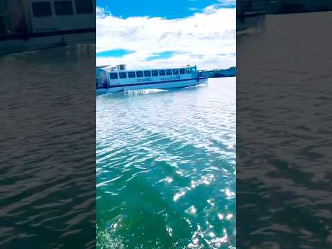 Pesca no canal de Vitória Cariacica Espírito Santo