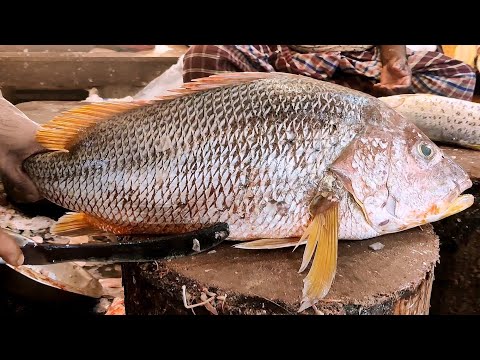 Huge Emperor Fish Cutting | Incredible Big Fish Cutting Skills in Live Fish Market 2021