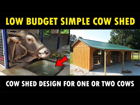 Simple Low Budget Cow Shed Design for One or Two Cows | Small Dairy Farm