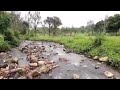 Mancing Gokil Ada Penampakan Kumis Lele