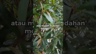 Download lagu Hanya pengingat bagi diri sendiri #quotes #nasehatidiri #nasehat #motivasi #shortvideo #shorts mp3
