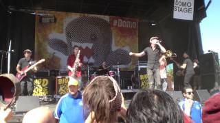 Big D and the Kids Table - Shining On (Live @ Warped Tour 2013)