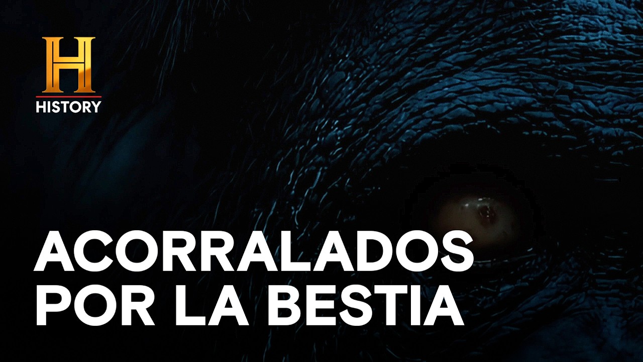 ACORRALADOS POR LA BESTIA: LA NOCHE MÁS LARGA EN FLORIDA 🌲😰 - MONSTRUOS LEGENDARIOS