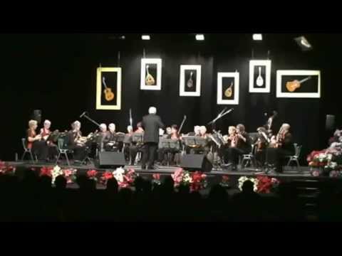 La Moldau (Vlatva, Bedrich Smetana) Orchestre de Mandolines Espérance