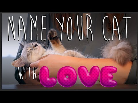 How to Name Your Cat Using Love