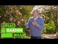 All About CAMELLIAS | GARDEN | Great Home Ideas