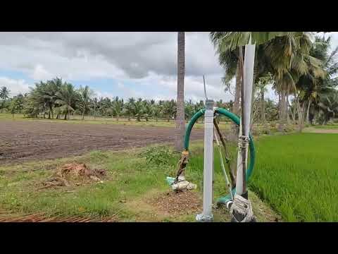  Agricultural Land 7 Acre for Sale in Needamangalam, Thiruvarur