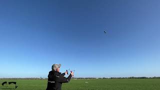 Spiderkites Neon bei max 40 km/h Wind (5 Bft)