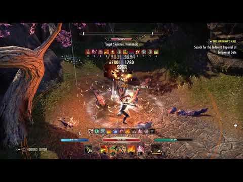 ESO Horns of the Reach StamDK solo 37.6k parse