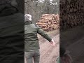 Met boswachter Ine op jacht naar houtrovers | RTV Oost