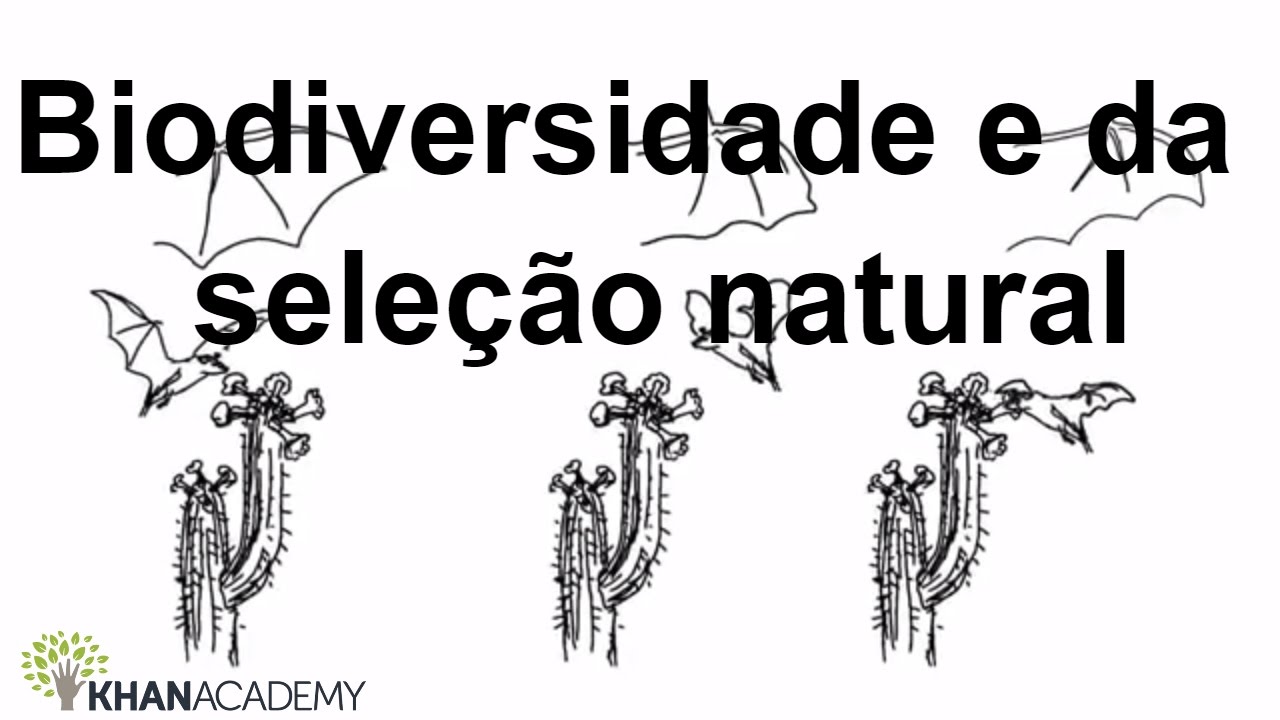 Biodiversidade e seleção natural | A evolução e a árvore da vida | Biologia | Khan Academy
