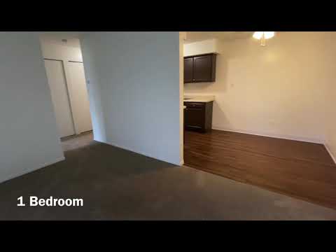 Thumbnail of One Bedroom Video