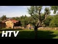La Morera De Agustina Casa Rural En Villanueva De Carazo