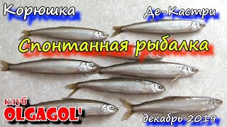 Рыбалка в де - кастри