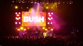 Bush Live - The One I Love