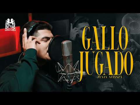 Miniatura de Gallo Jugado