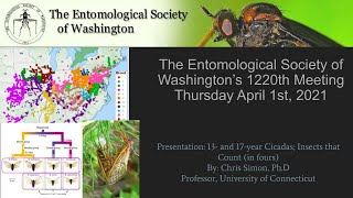 ESW April 2021: 13- and 17-year Cicadas; Insects that Count (in fours)