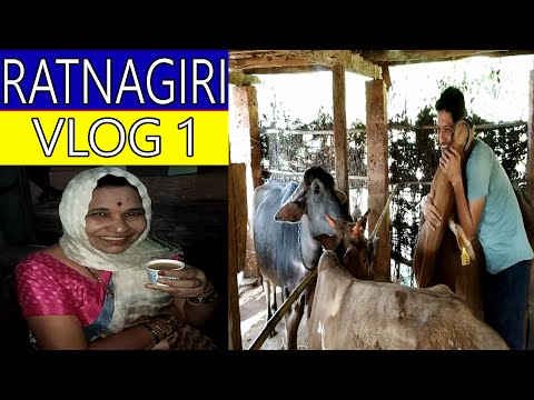 चला गुरं चरवायला | Ratnagiri Vlog 1 | Shubhangi Keer Video