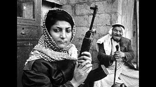 فلسطينيات..
