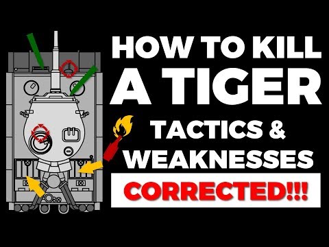 How to fight Tigers - Tactics & Weaknesses
