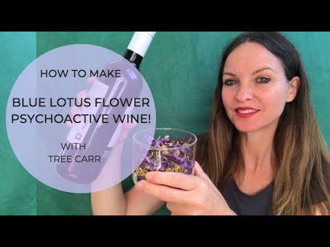How to make Blue Lotus Flower psychoactive wine!