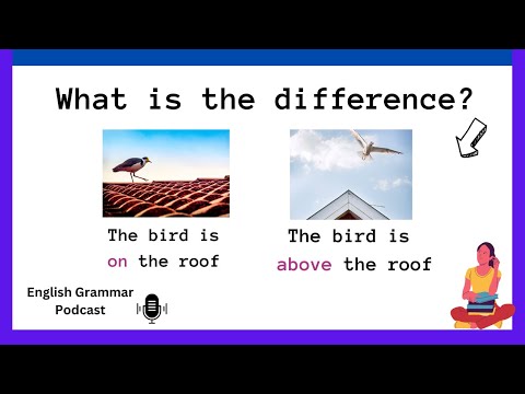 How To Use Prepositions (on and above) In Sentences?| Differences Between Prepositions With Examples