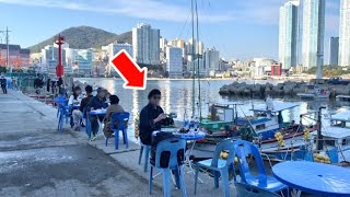 【🇰🇷釜山グルメ】漁港で絶品海鮮盛りからの名物ホルモン焼きが美味すぎる‼️【釜山旅行 前編】