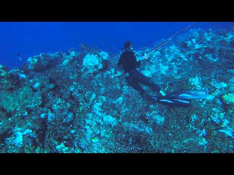 Spearfishing New Caledonia - Picot du large par Seb PEREZ - Extérieur Passe de Dumbéa