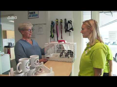 Zomerreeks dierenambulance