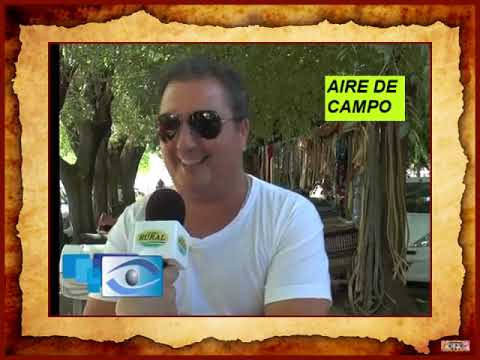 AIRE DE CAMPO - REMAE DE  Jauregui Lorda
