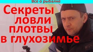 Ловля сороги в глухозимье