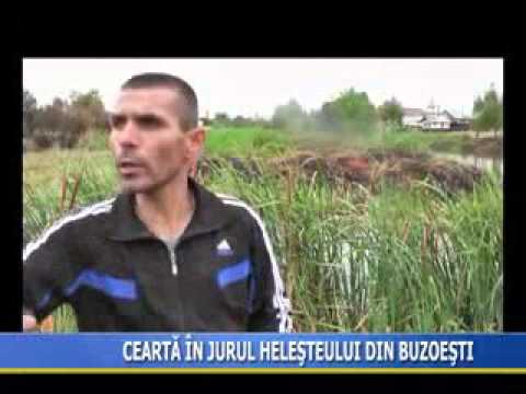 Cearta in jurul helesteului din Buzoesti