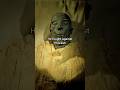 Facts Of Prophet Musa A S Shorts Shortvideo Shortsfeed Youtubeshorts Ytshorts Prophetmusa Yt