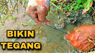 Download lagu TARIKAN NYA LUMAYAN!! MANCING BELUT SAWAH~mas dayat mp3