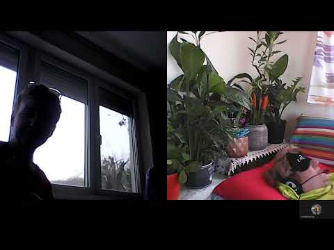 Hipnoza regres  808 Nadia ,Dragos si serpuirile vietii A si C Moarru