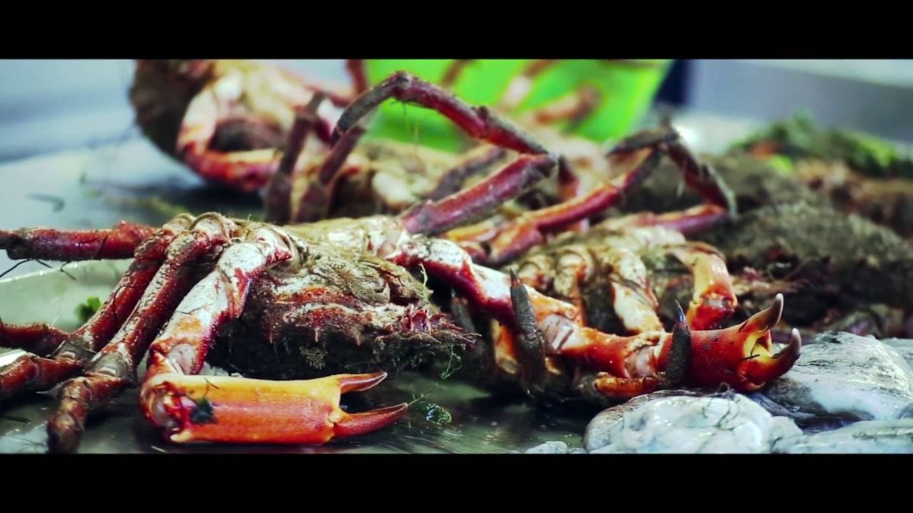 Vídeo do imóvel